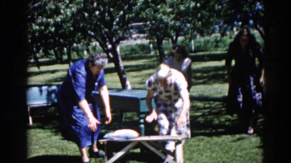 Three adult women in early-1960s dress around a green picnic table in an Illinois park setting, one bending toward the table, circa 1962.