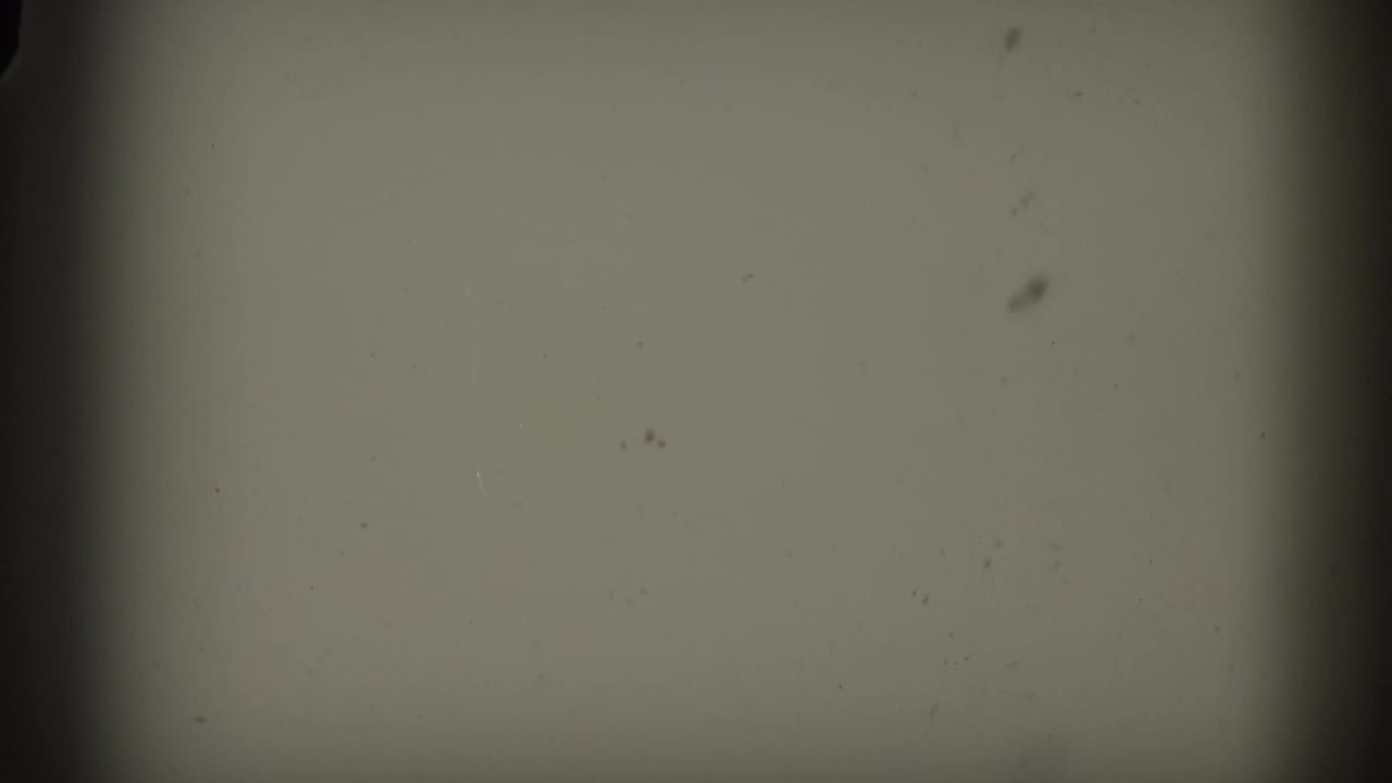 Overexposed flash frame from 8mm home-movie reel, showing almost no image detail, likely a transition or scene break.