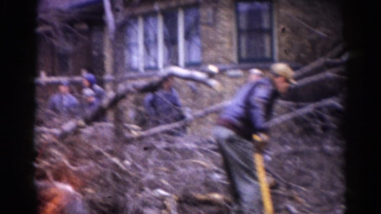 Adult in winter jacket wielding a long-handled tool amid storm-fallen tree debris, brick multi-story residential building visible behind, Illinois c. 1962