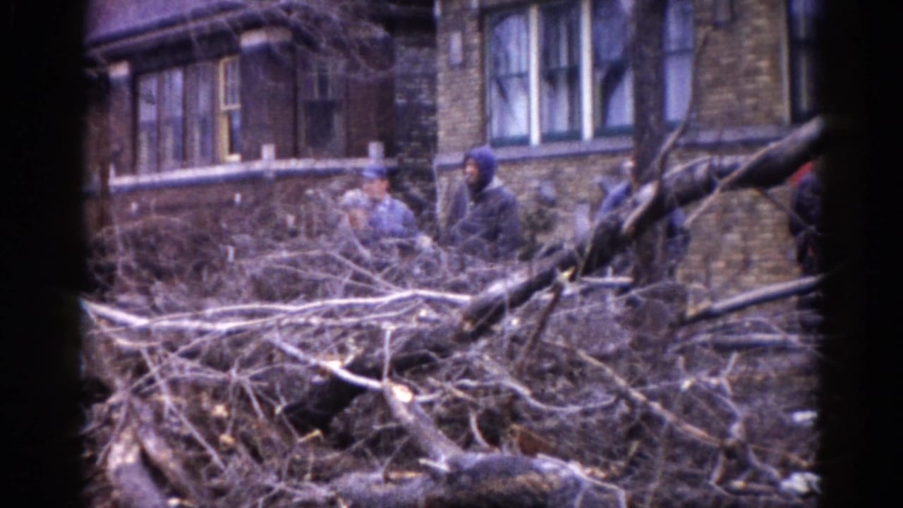 Group of adults in winter coats and hats amid dense storm-fallen tree debris, brick residential building in background, Illinois c. 1962