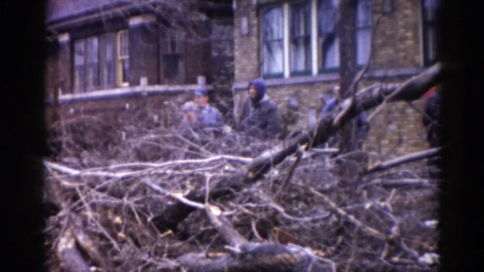 Group of adults in winter coats and hats amid dense storm-fallen tree debris, brick residential building in background, Illinois c. 1962