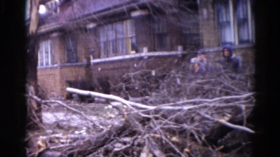 Large fallen tree debris field in front of brick multi-story house with multiple windows, figures in winter clothing working in background, Illinois c. 1962