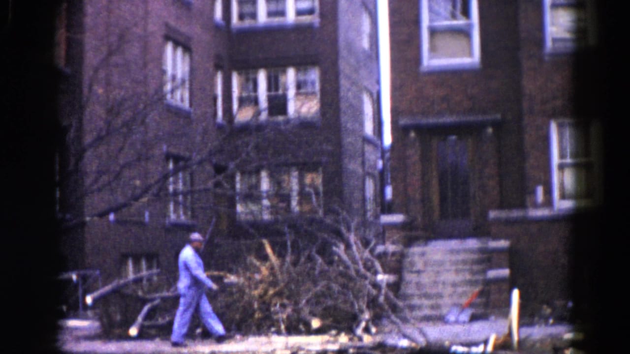 Worker in light-colored clothing walks among large fallen tree branches beside a multi-story brick apartment building.