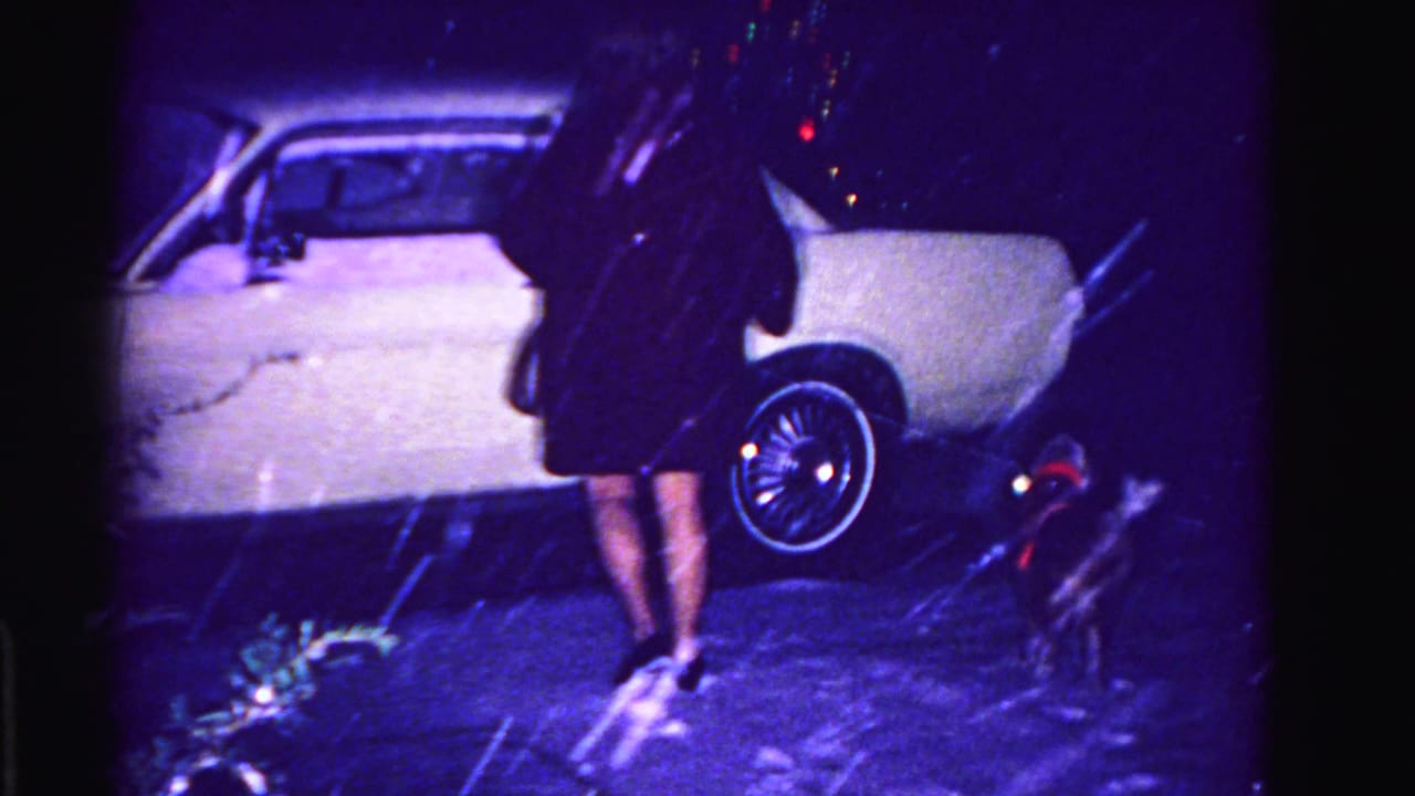 Woman in dark coat and skirt beside an open-doored white vintage car in heavy snowfall at night, small red-coated dog at her feet.