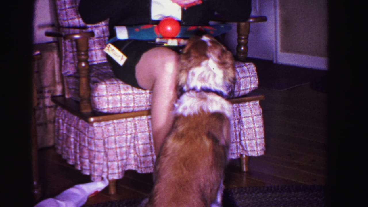 8mm home movie from 1962 Hagerstown, Maryland: dog stands attentively before a plaid armchair as a partially visible person holds a red ball and wrapped gift.