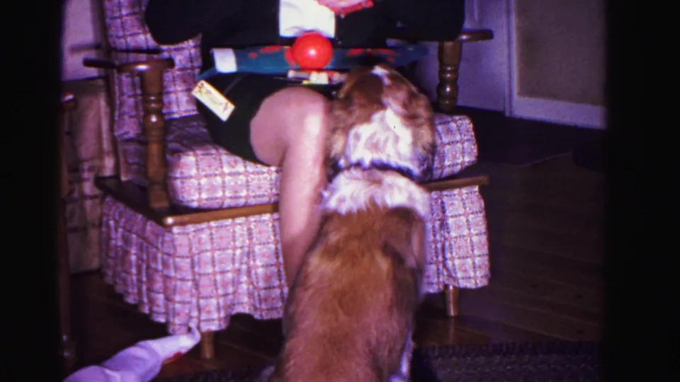 8mm home movie from 1962 Hagerstown, Maryland: dog stands attentively before a plaid armchair as a partially visible person holds a red ball and wrapped gift.