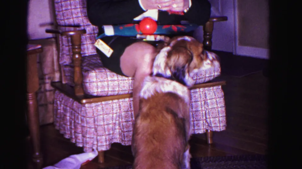 8mm home movie from 1962 Hagerstown, Maryland: dog turns slightly beside a plaid armchair with red ball and wrapped gift still visible, living room interior.