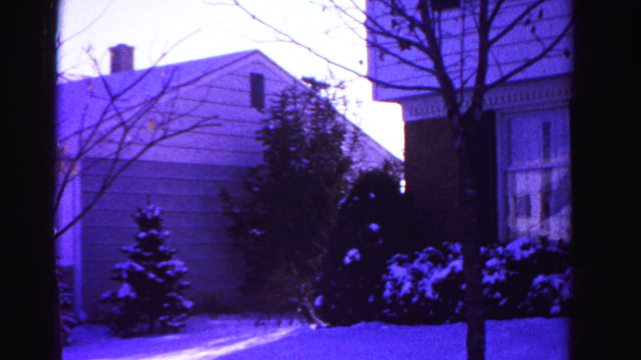 Snow-covered front yard of a clapboard suburban house with a small evergreen tree and bare trees; strong purple film cast.