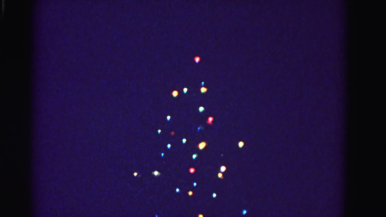 Outdoor Christmas tree outlined by multicolored string lights against a deep blue-purple night sky; 8mm color shift and soft light bloom.