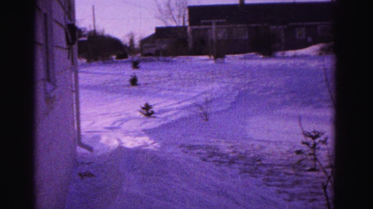 Snow-covered yard seen from a doorway with wind-sculpted drifts, small evergreen saplings, and a residential building in the background under a purple sky.