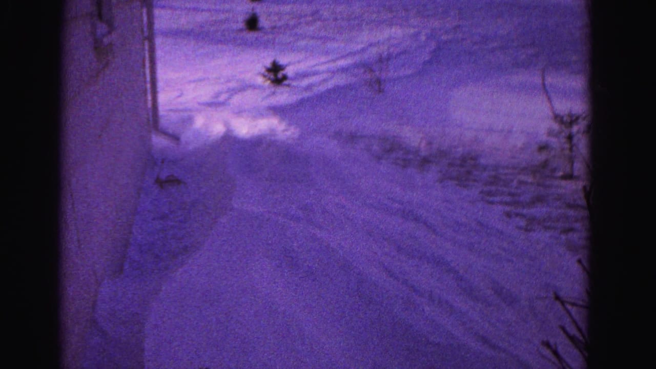 Camera panning across wind-carved snow drifts with ridge detail, a small evergreen in the distance and dried vegetation in the foreground, purple color cast.
