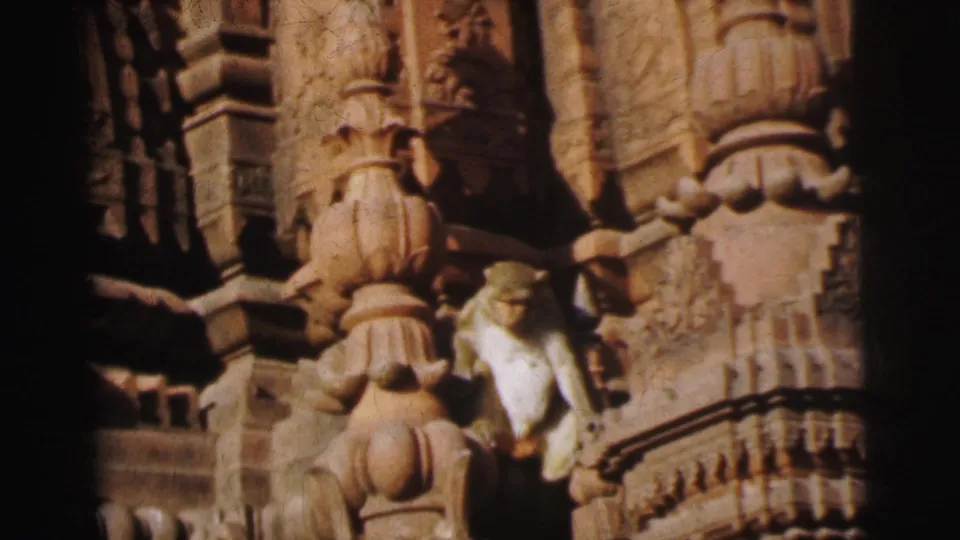 A primate among dense carved stone figures and ornate pilasters on an Indian temple exterior, attributed to Calcutta, India, circa 1962, 8mm film.