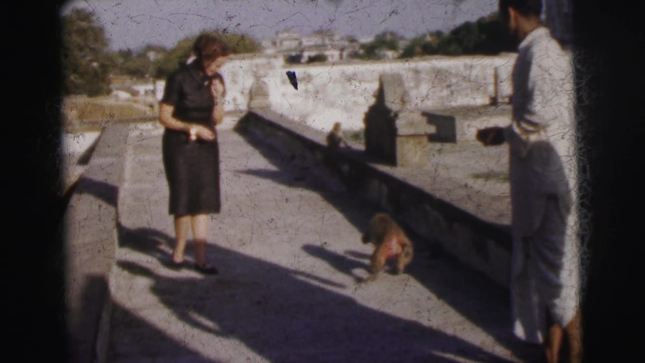 Two adults on a sunlit stone terrace in what appears to be 1960s Calcutta, India; a macaque sits on the parapet between them.