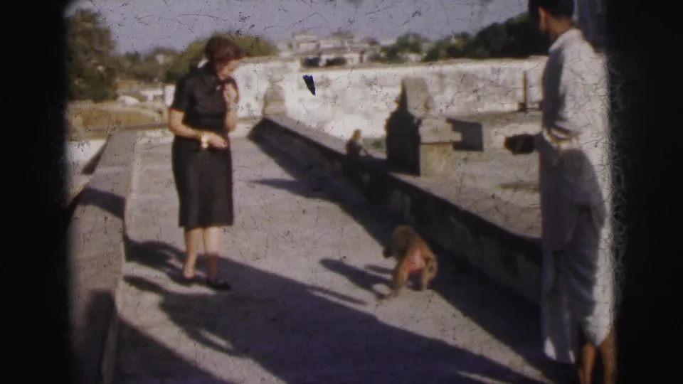 Two adults on a sunlit stone terrace in what appears to be 1960s Calcutta, India; a macaque sits on the parapet between them.