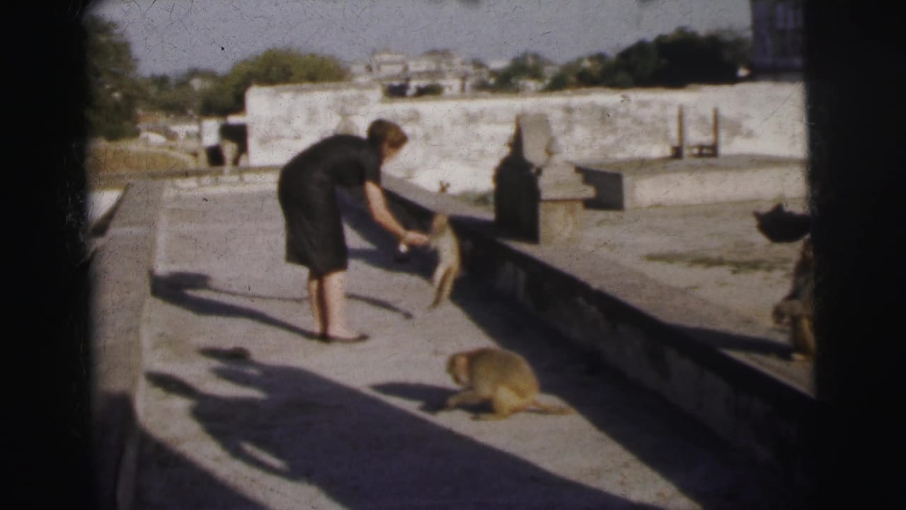 Woman in 1960s dark dress offers food to a monkey on an open stone terrace, likely Calcutta, India, circa 1962; 8mm film.