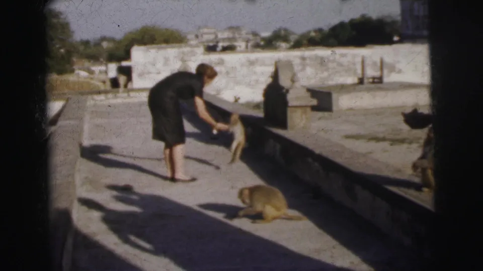 Woman in 1960s dark dress offers food to a monkey on an open stone terrace, likely Calcutta, India, circa 1962; 8mm film.