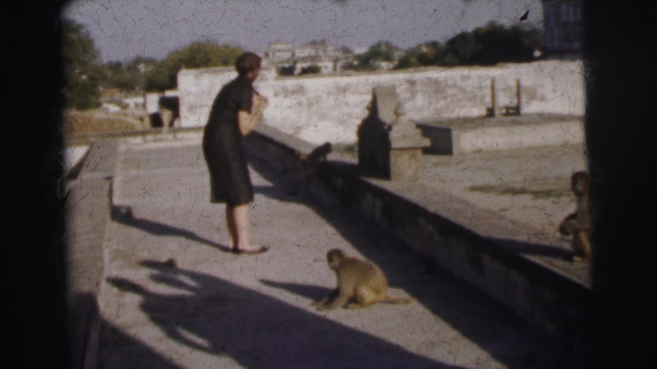 Woman stands on a stone terrace as a monkey sits near the low parapet wall; an additional figure is visible at the right frame edge.