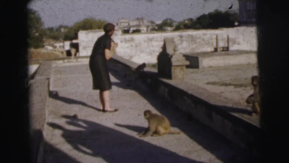 Woman in dark dress pauses on an open terrace in Calcutta, India, circa 1962, with a monkey near the parapet and a second figure at the right edge.