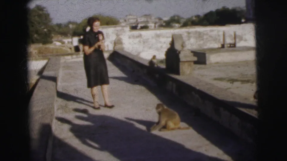 Woman in dark dress on an open stone terrace in Calcutta, India, circa 1962, with a monkey occupying the near foreground.