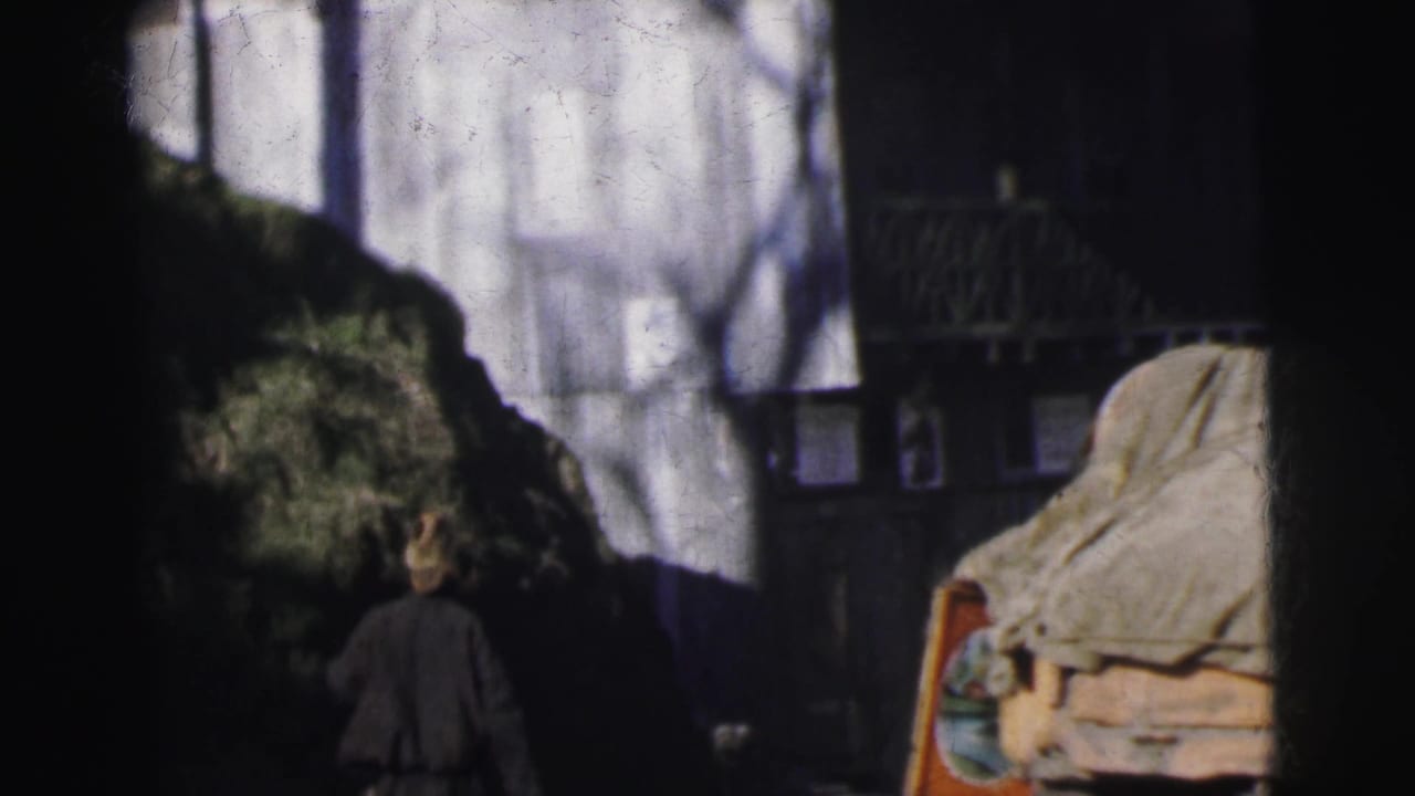 Woman in dark dress viewed from behind at an outdoor zoo enclosure, likely Calcutta, India, circa 1962; wooden shelter and tree shadows on white wall visible.