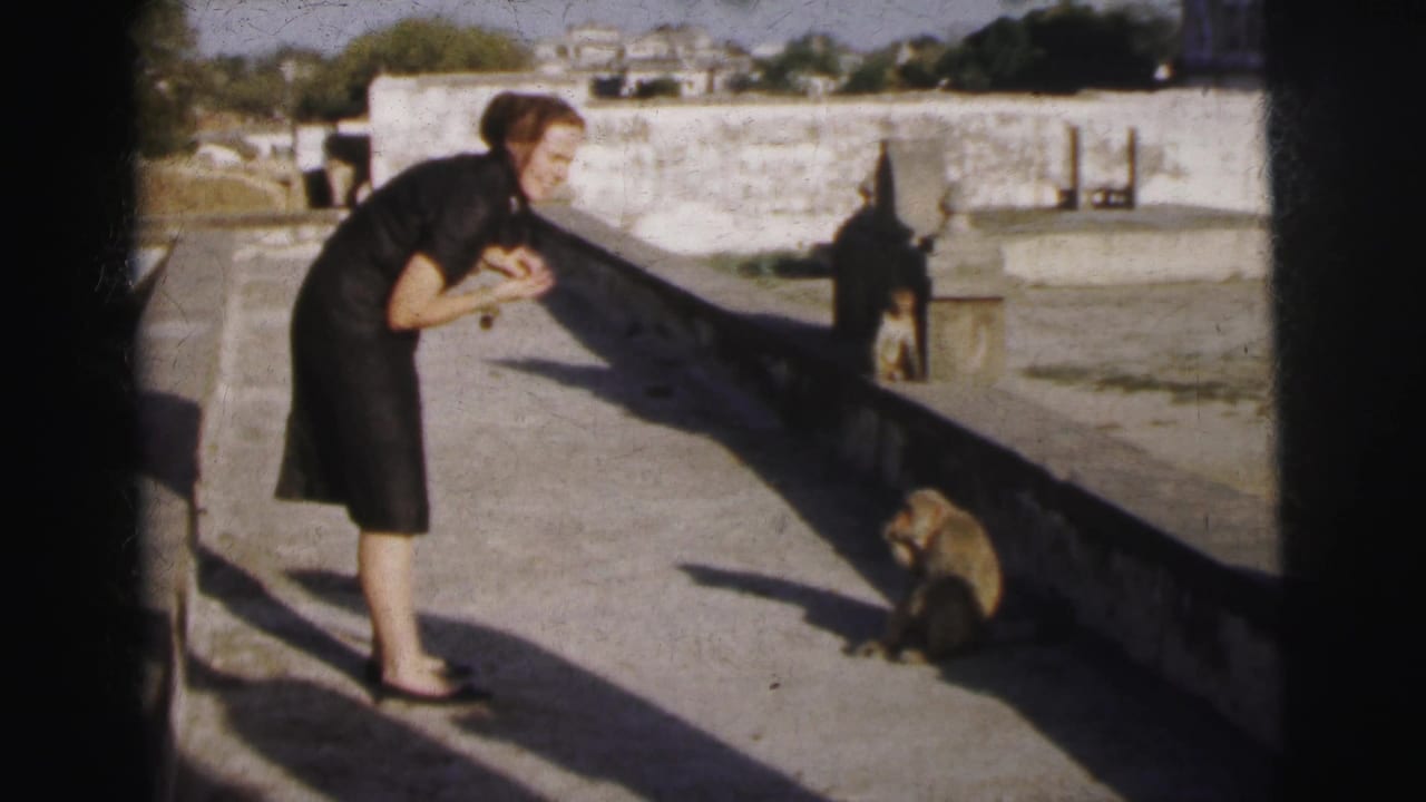 Woman in dark dress bending to offer food to a monkey at a zoo enclosure, likely Calcutta, India, circa 1962; white stone walls and distant structures visible.