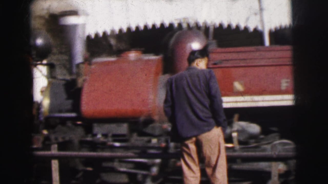 Man in dark jacket stands with his back to camera watching a rust-red steam locomotive and freight cars at a railway yard.