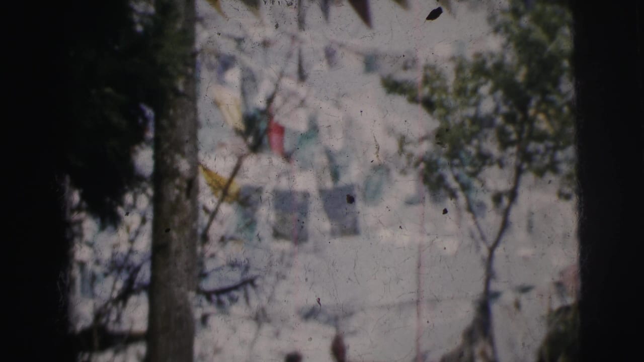 Colorful triangular bunting flags strung across trees with a white multi-story building behind, viewed through foliage.