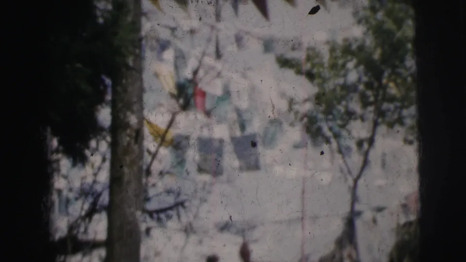 8mm home movie frame, circa 1962 Calcutta; triangular pennant flags in red, teal, yellow, and white visible through a natural frame of tree foliage.