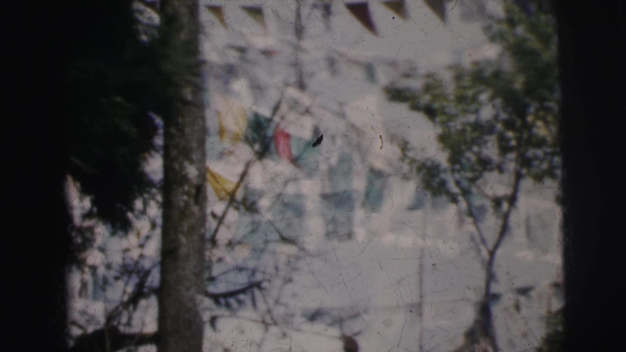 Same outdoor scene with pennant flags and white building; dark tree trunk dominates center frame.