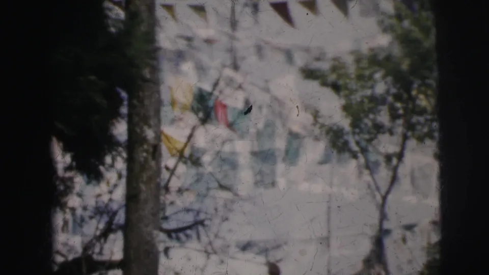 Continuation of 8mm footage circa 1962 Calcutta; flags appear in slightly varied positions suggesting a breeze, with a dark tree trunk centered in the frame.