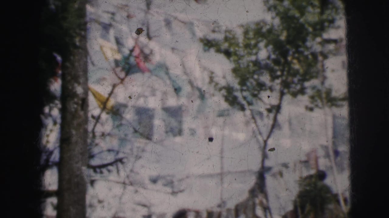 Colorful pennant flags strung between trees against a light-colored backdrop, with partial figures visible at lower edge.