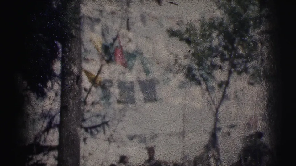 8mm color frame showing a tree trunk, colorful flags, and pale wall at what may be a public gathering site, Calcutta, circa 1962.