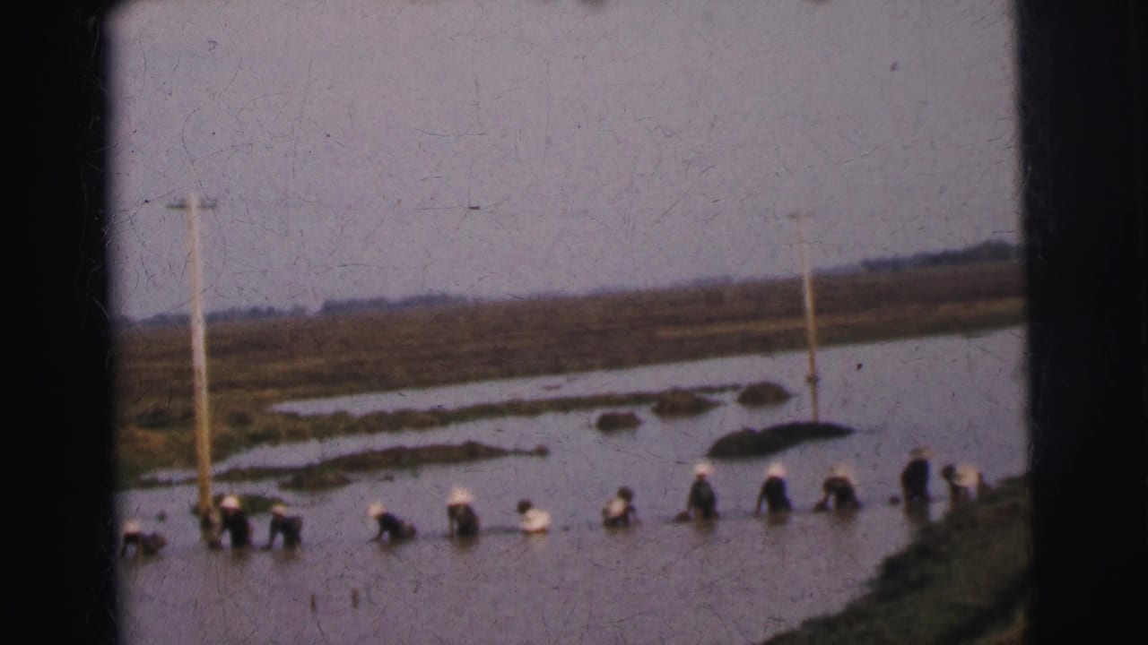 A row of workers wades through floodwater near a grassy edge and tall utility pole.