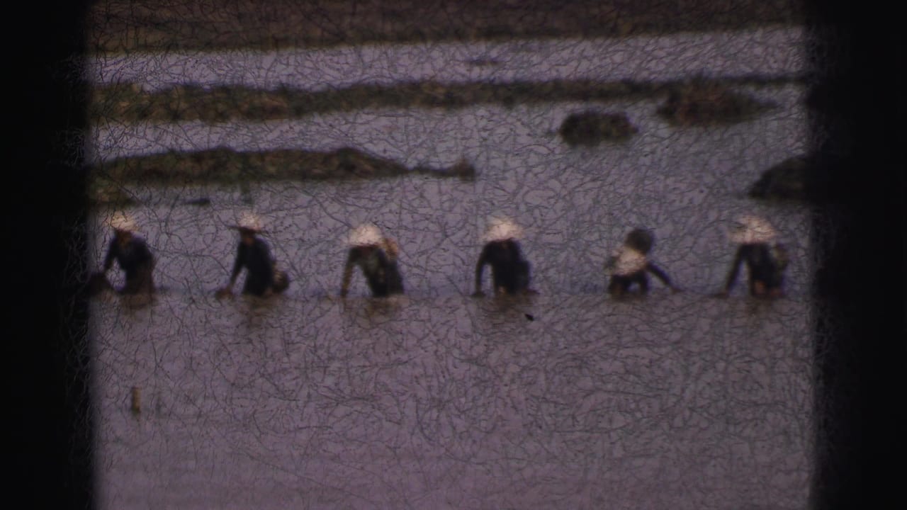 Distant figures in hats bend and stand in shallow water.
