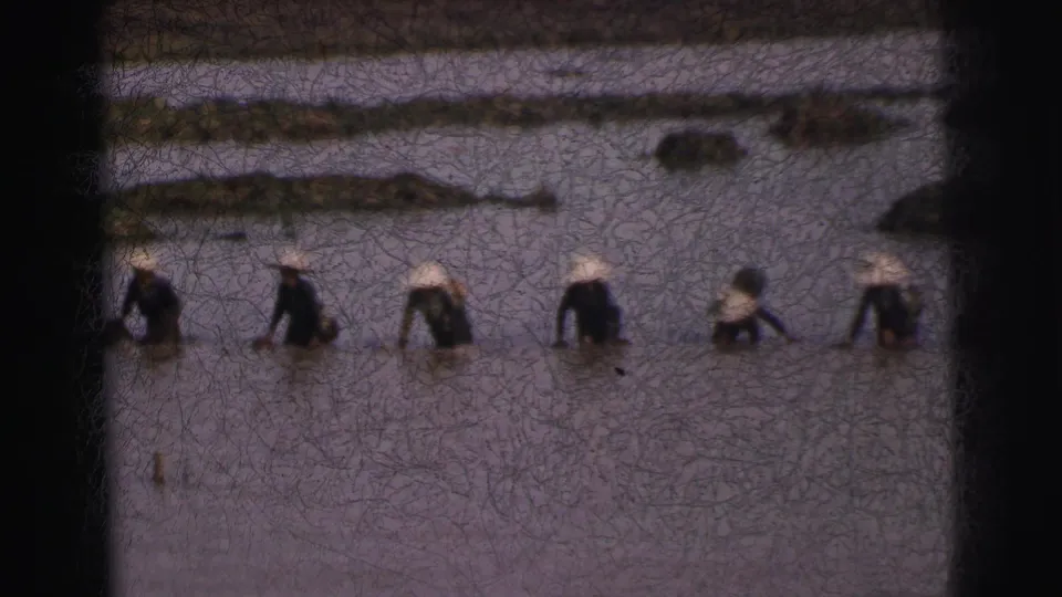 Distant people in conical hats appear to work across a flooded field near Calcutta in this 1962 8mm frame.