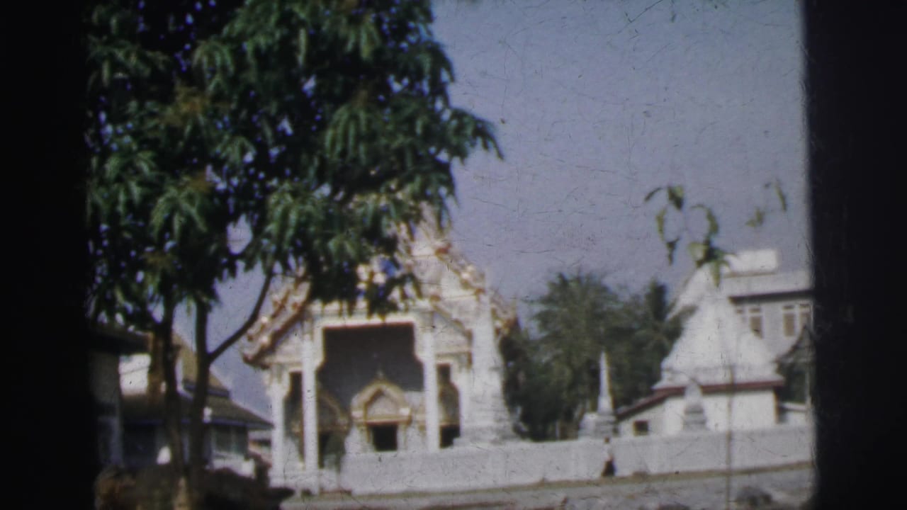 White ornate temple-like building seen beyond a tree and roadside area.