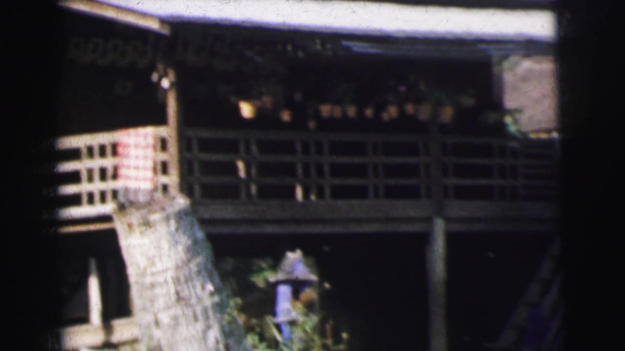 Raised porch and railing with a tree trunk, foliage, and blue birdhouse below.