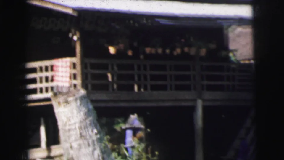 1962 Calcutta frame with an elevated porch, open railings, tree trunk, tropical foliage, and blue birdhouse in the yard.