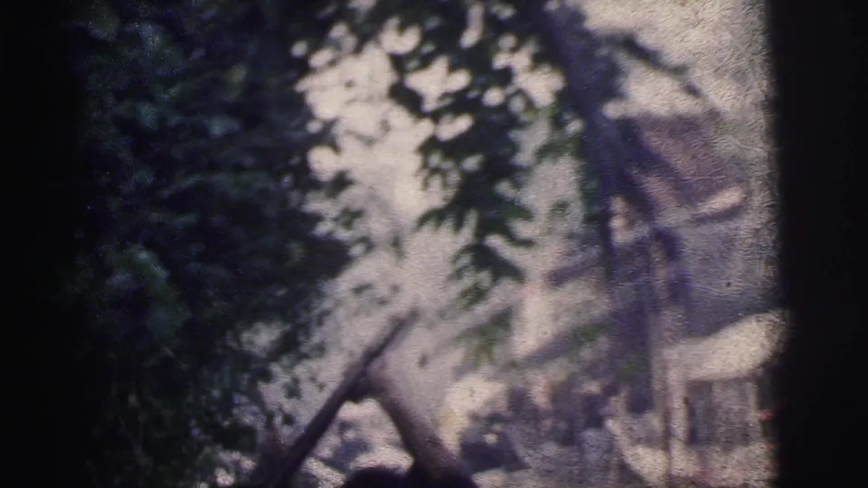 Soft, obstructed home-movie frame from Calcutta showing foliage over a river scene with indistinct movement beyond.