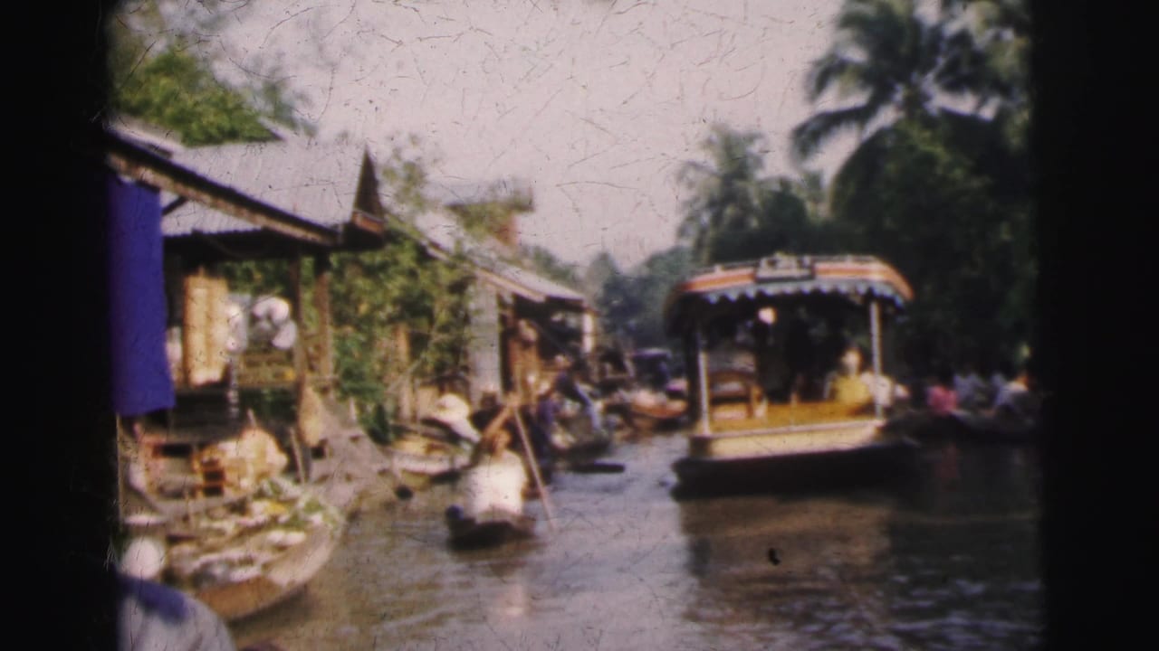 Passenger boat moves along a canal lined with wooden buildings and palms.