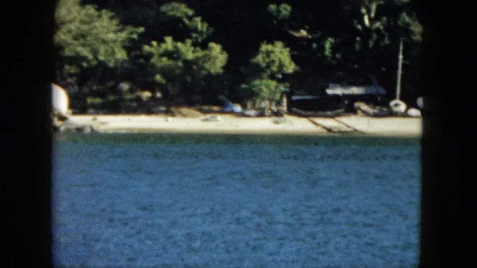 Acapulco shoreline view with blue water in the foreground, a narrow beach, trees, and small structures near the coast.