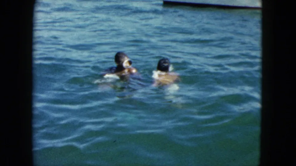 Two children playing in open water, Acapulco, Mexico, circa 1962; one appears to wear diving goggles; shot on 8mm home-movie film.