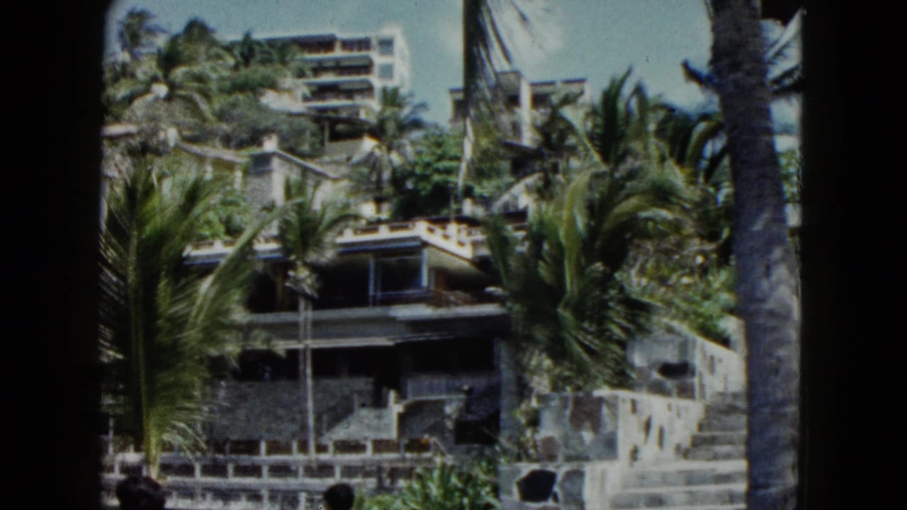 Palm trees and hillside buildings above stone walls and steps.