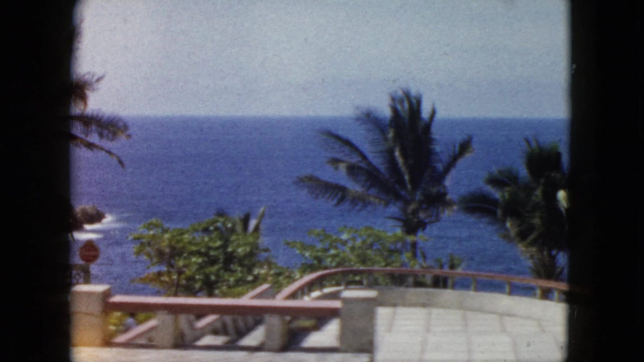 Ocean horizon with palm trees and a curved terrace railing in the foreground.