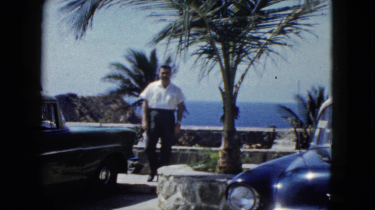 Man in white shirt stands on stone terrace beside a dark blue early-1960s car, with a palm tree and ocean bay behind him.