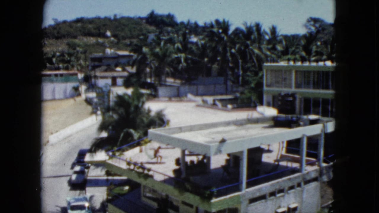 Palm-lined hillside street with modern buildings, terraces and several cars.