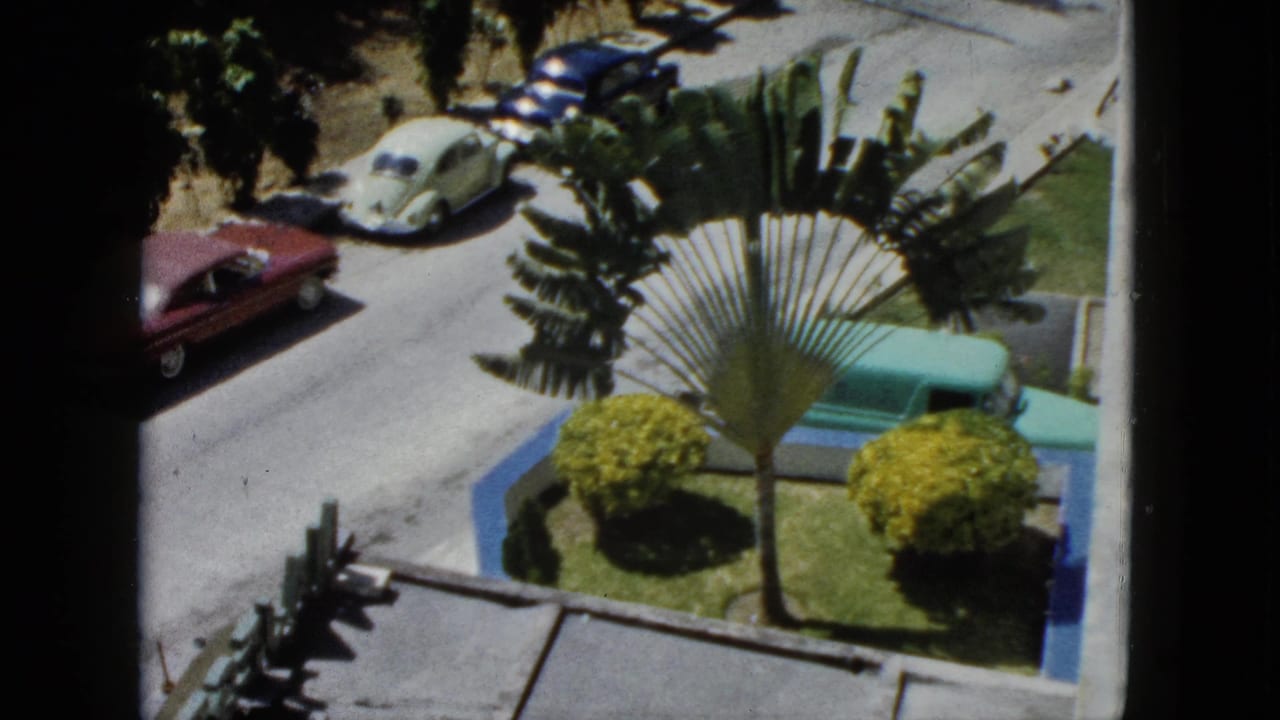 1962 Acapulco frame showing a high-angle window view with parked cars, a fan palm, clipped shrubs, and tropical greenery.