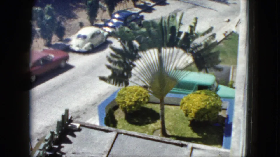 Balcony view in Acapulco showing parked mid-century cars, a street, tropical plants, a fan palm, and manicured shrubs below.