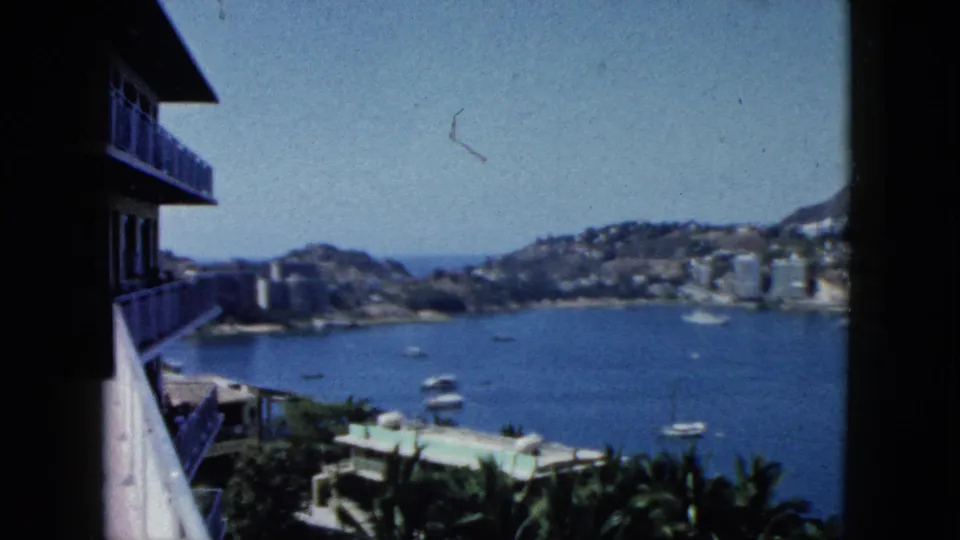 1962 Acapulco view from a balcony or window, with palms in the foreground, boats on the bay, and buildings across the hills.