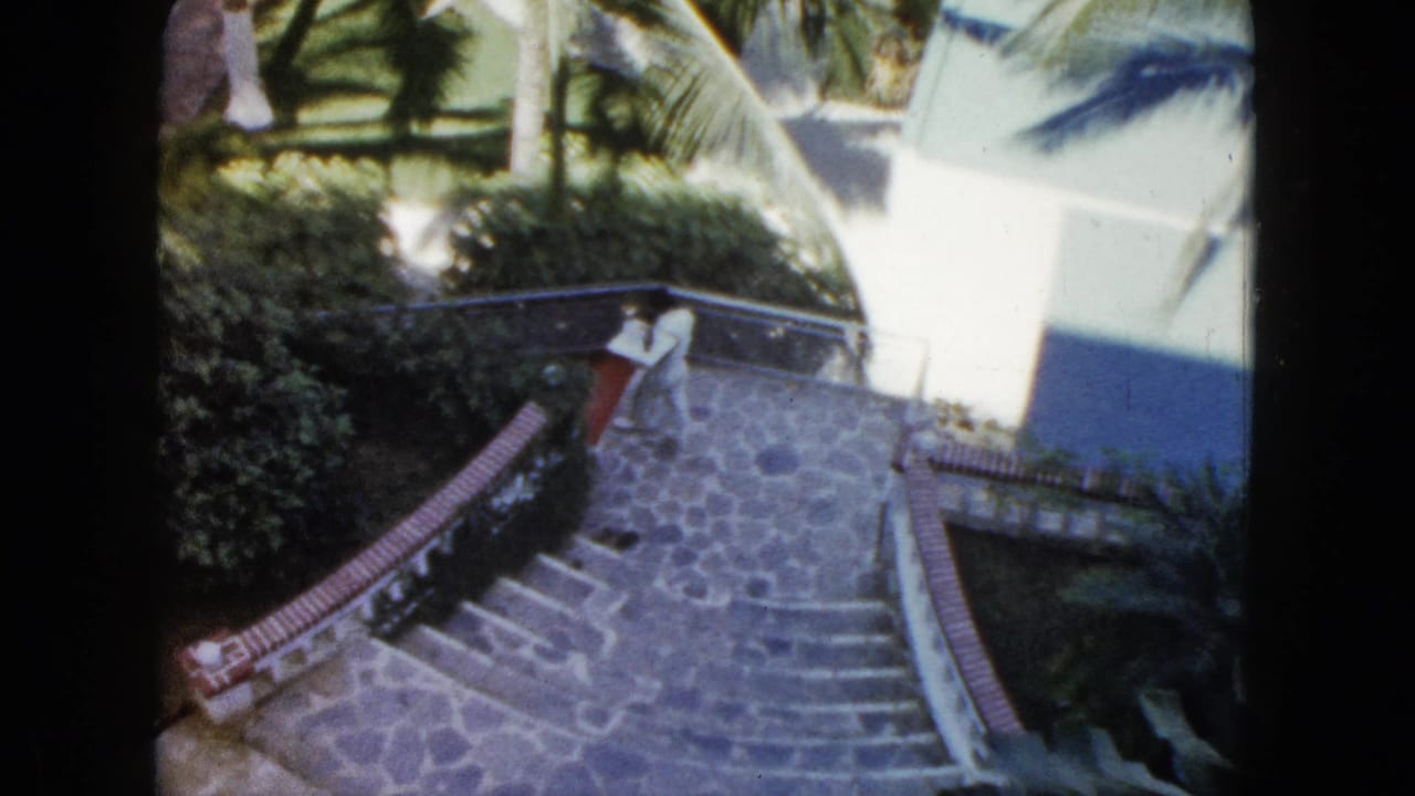 Man stands near the upper landing of stone stairs surrounded by palms, shrubs, and bright walls.